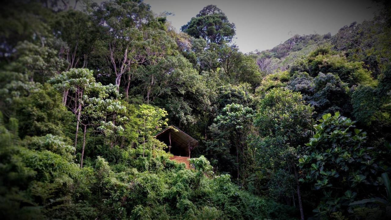 Chalet In The Jungle Pallegama Dış mekan fotoğraf