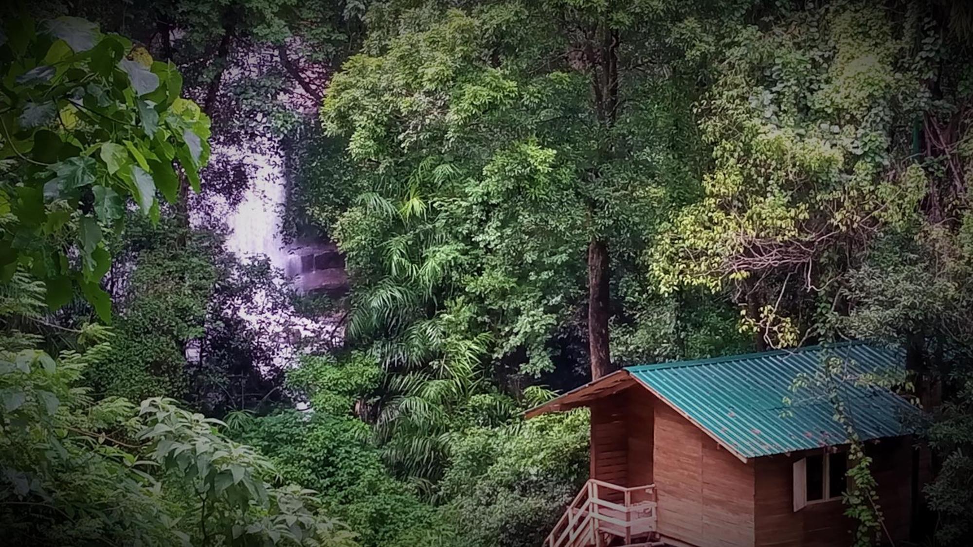 Chalet In The Jungle Pallegama Dış mekan fotoğraf
