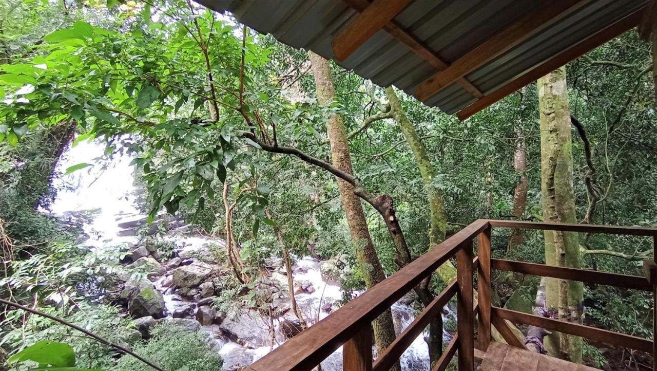 Chalet In The Jungle Pallegama Dış mekan fotoğraf