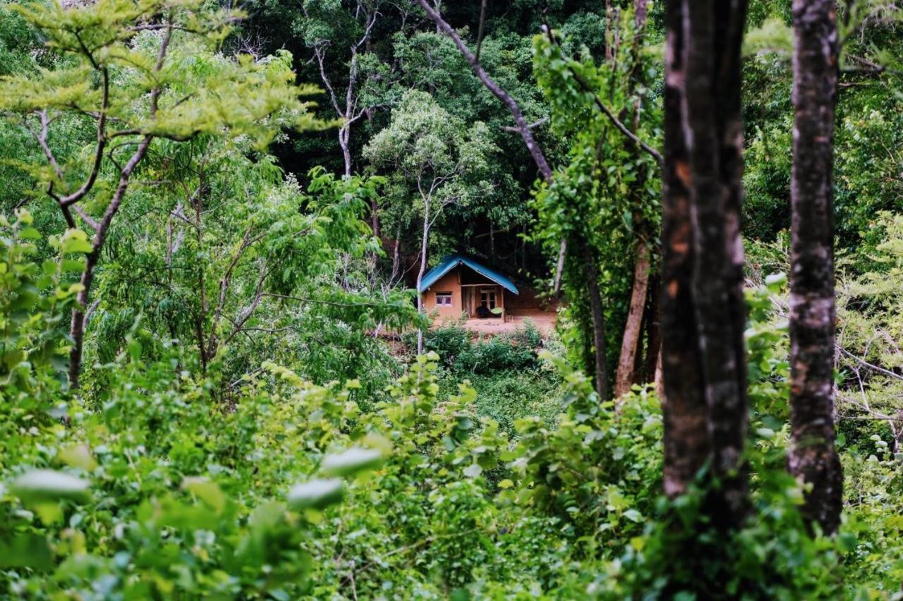 Chalet In The Jungle Pallegama Dış mekan fotoğraf
