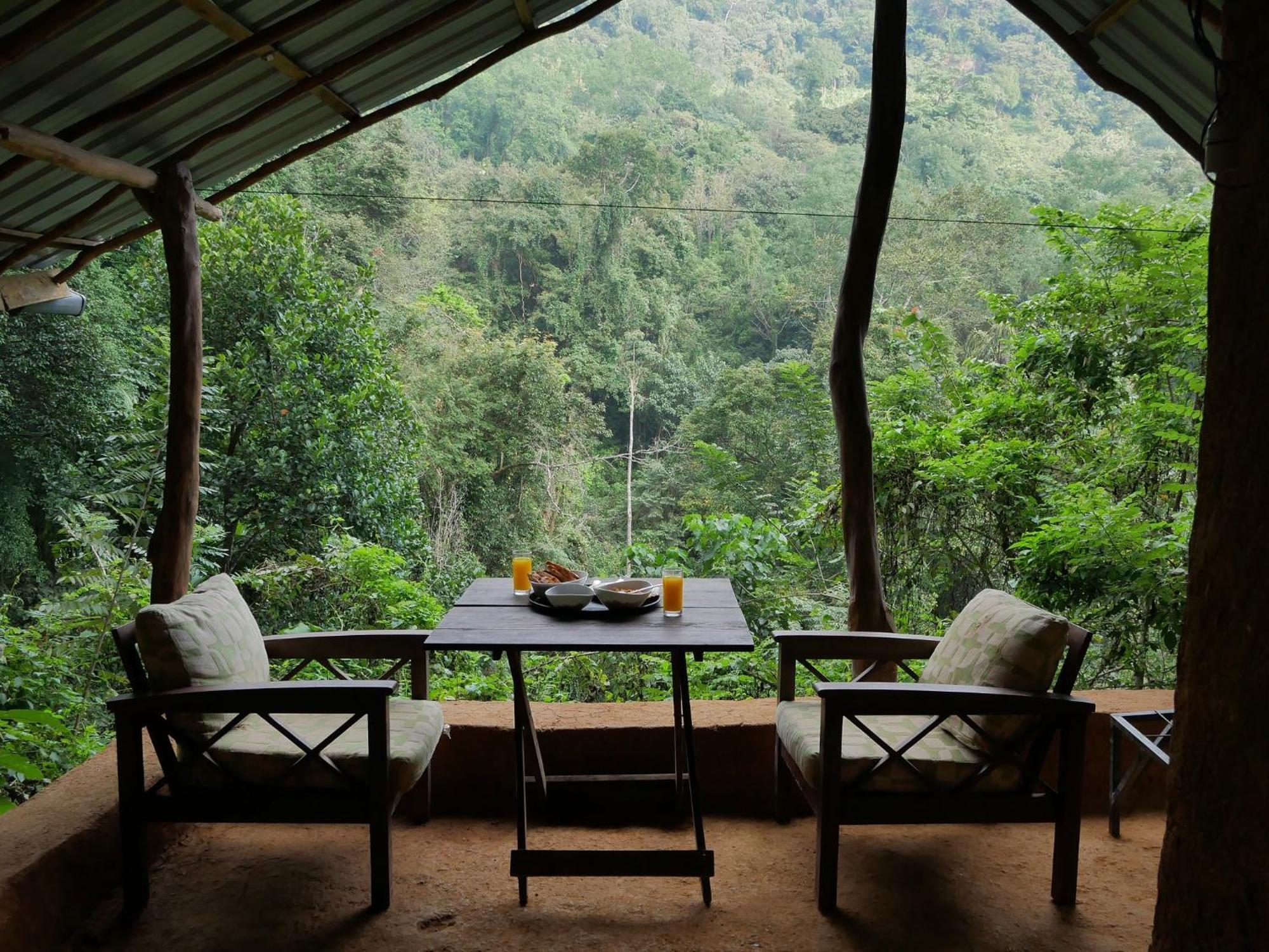 Chalet In The Jungle Pallegama Oda fotoğraf